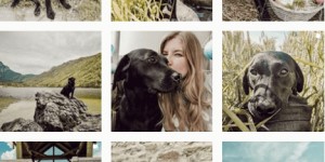 Beitragsbild des Blogbeitrags Instagram Inspiration – #adventuredogs