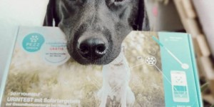 Beitragsbild des Blogbeitrags Urintest mit PEZZ CHECK