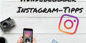 Beitragsbild des Blogbeitrags Instagram für Hunde-Blogger