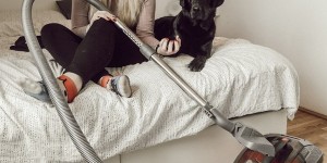 Beitragsbild des Blogbeitrags Sauberer Haushalt mit Hund?! 