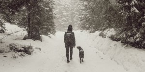 Beitragsbild des Blogbeitrags Zillertal mit Hund im Winter