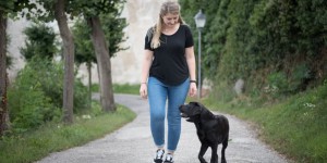 Beitragsbild des Blogbeitrags FAQ Hundetrainer Ausbildung 