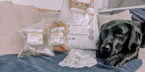 Beitragsbild des Blogbeitrags Bellfor Hundefutter im Test