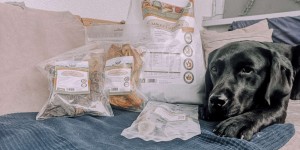 Beitragsbild des Blogbeitrags Bellfor Hundefutter im Test 