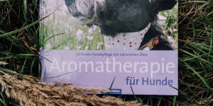 Beitragsbild des Blogbeitrags Aromatherapie für Hunde – Buchreview 