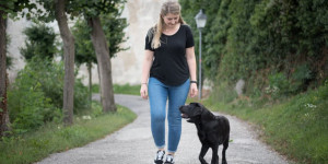 Beitragsbild des Blogbeitrags Vollzeit4Beiner: die Hundeschule für berufstätige Hundeeltern 