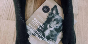 Beitragsbild des Blogbeitrags Gesund Füttern, Entzündungen vorbeugen – Buchreview