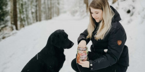 Beitragsbild des Blogbeitrags Schafferteich in Oberösterreich mit Hund 