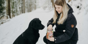 Beitragsbild des Blogbeitrags Schafferteich in Oberösterreich mit Hund