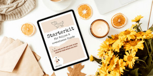 Beitragsbild des Blogbeitrags Starterkit für Welpen
