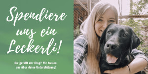 Beitragsbild des Blogbeitrags Unterstütze Flummis Diary