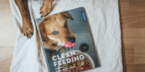 Beitragsbild des Blogbeitrags Clean Feeding – Hunde natürlich füttern 