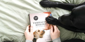 Beitragsbild des Blogbeitrags Buchreview: Verhaltensbiologie für Hundetrainer 