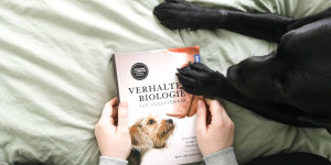 Beitragsbild des Blogbeitrags Buchreview: Verhaltensbiologie für Hundetrainer