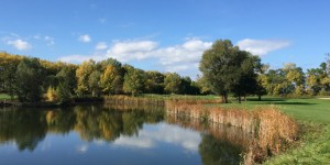 Beitragsbild des Blogbeitrags Herbst in Himberg
