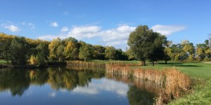 Beitragsbild des Blogbeitrags Herbst in Himberg 