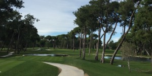 Beitragsbild des Blogbeitrags Belek, Teil 2 – Gloria New Course: der Brave