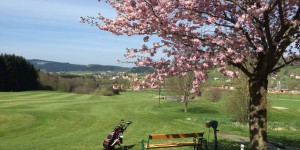 Beitragsbild des Blogbeitrags Frühlingsrunden in OÖ: Der GC Mühlviertel St. Oswald glänzt wieder