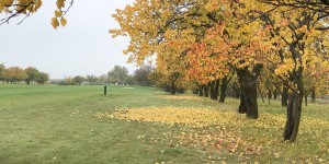 Beitragsbild des Blogbeitrags Herbstrunden: GC Poysdorf – Championship Course mit Weingartenidylle