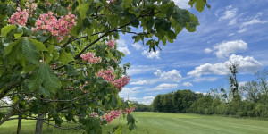 Beitragsbild des Blogbeitrags Die 3 G-Regel am Golfplatz: ganz großer Grant oder gut gelaunt golfen?