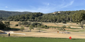 Beitragsbild des Blogbeitrags Mallorca – Son Muntaner: wie mich (fehlendes) Bermudagras auf die Palme brachte
