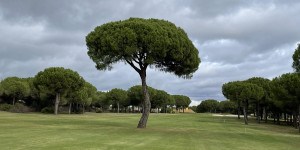 Beitragsbild des Blogbeitrags Region Huelva – Bellavista Golf: keine „schöne Aussicht“ und wenig erfreuliche Ansichten