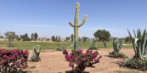 Beitragsbild des Blogbeitrags Marrakech 3/5 – Samanah Golf Club: für alle, die Kakteen und Bunker lieben 