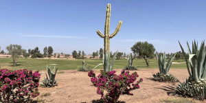 Beitragsbild des Blogbeitrags Marrakech 3/5 – Samanah Golf Club: für alle, die Kakteen und Bunker lieben