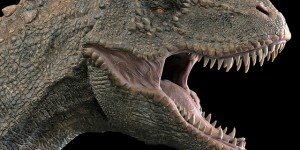 Beitragsbild des Blogbeitrags Fossilien News August 2018