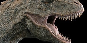 Beitragsbild des Blogbeitrags Fossilien News August 2018 