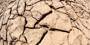 Beitragsbild des Blogbeitrags Elefantitis durch ein Mineral? Geschichte einer mysteriösen Krankheit
