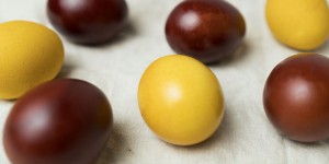 Beitragsbild des Blogbeitrags Farbe aus dem Küchenschrank, Teil 2: Zwiebelschalen und Kurkuma