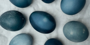 Beitragsbild des Blogbeitrags Ostereier färben: Heuer machen die Eier blau