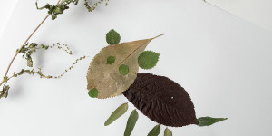 Beitragsbild des Blogbeitrags DIY: Blättertiere aus dem Wald 