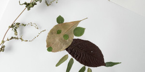 Beitragsbild des Blogbeitrags DIY: Blättertiere aus dem Wald