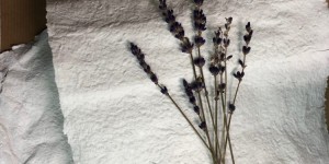 Beitragsbild des Blogbeitrags Papiergestaltung – Papierschöpfen & Kleisterpapier