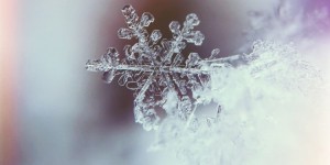 Beitragsbild des Blogbeitrags Limitierte Herbst-& Winteredition 2019