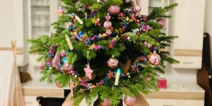 Beitragsbild des Blogbeitrags Unsere liebsten Bilderbücher für Weihnachten 2019