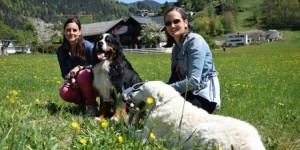 Beitragsbild des Blogbeitrags Erstausstattung für deinen Hund