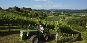 Beitragsbild des Blogbeitrags Lagenweine: Wein, der sich abgrenzt