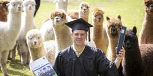 Beitragsbild des Blogbeitrags Was haben Alpakas mit Marketing zu tun?