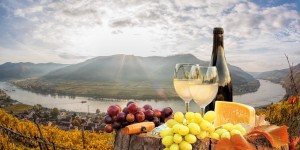 Beitragsbild des Blogbeitrags Einstieg in die WIFI-Wein-Welt – mit zeitsparendem E-Learning