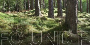 Beitragsbild des Blogbeitrags PEFC und FSC