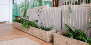 Beitragsbild des Blogbeitrags DIY Raumtrenner oder begrünte Wand für den Wohnraum