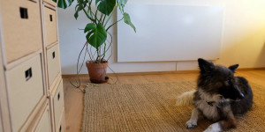 Beitragsbild des Blogbeitrags Infrarotheizung: alternative Heizmöglichkeit