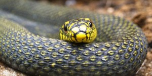Beitragsbild des Blogbeitrags Aligator Bay – Ein Ausflug mit Kindern in der Normandie