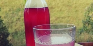Beitragsbild des Blogbeitrags Mein Zirbensirup