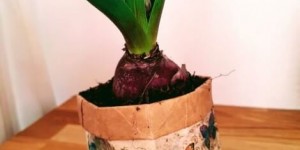 Beitragsbild des Blogbeitrags Blumige Tüten zum Verschenken