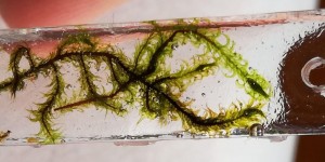 Beitragsbild des Blogbeitrags Warum ich mich gegen einen DIY Post mit Epoxidharz entschieden habe!