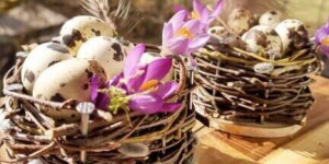 Beitragsbild des Blogbeitrags Kleines Osternestchen